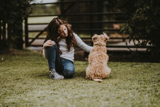 3 cosas que una mascota le puede ayudar a desarrollar a tu hijo